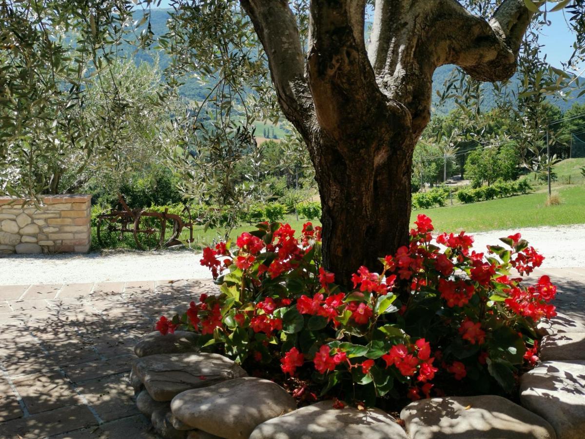Agriturismo Sole Luna Piano Delle Pieve Exteriér fotografie