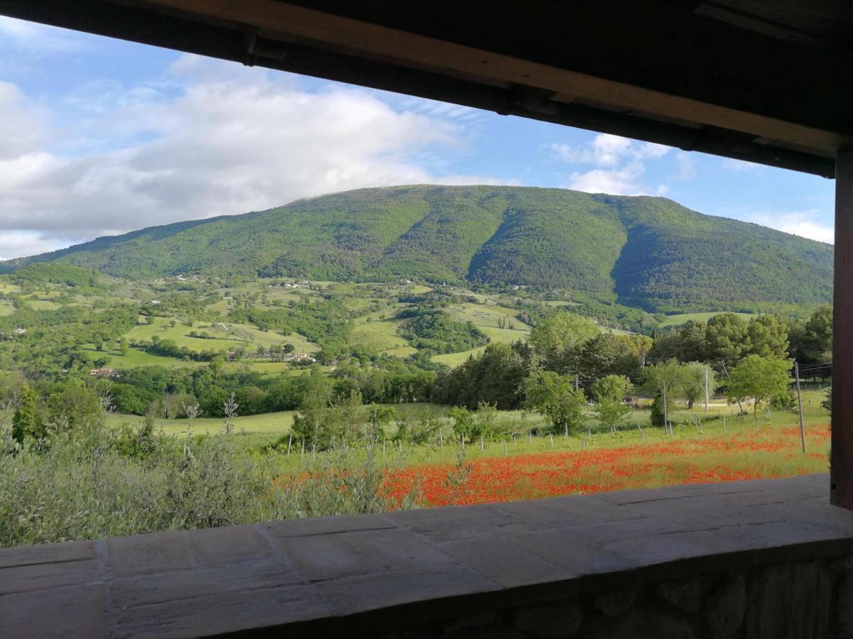 Agriturismo Sole Luna Piano Delle Pieve Exteriér fotografie